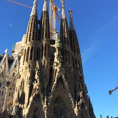 IMG 084